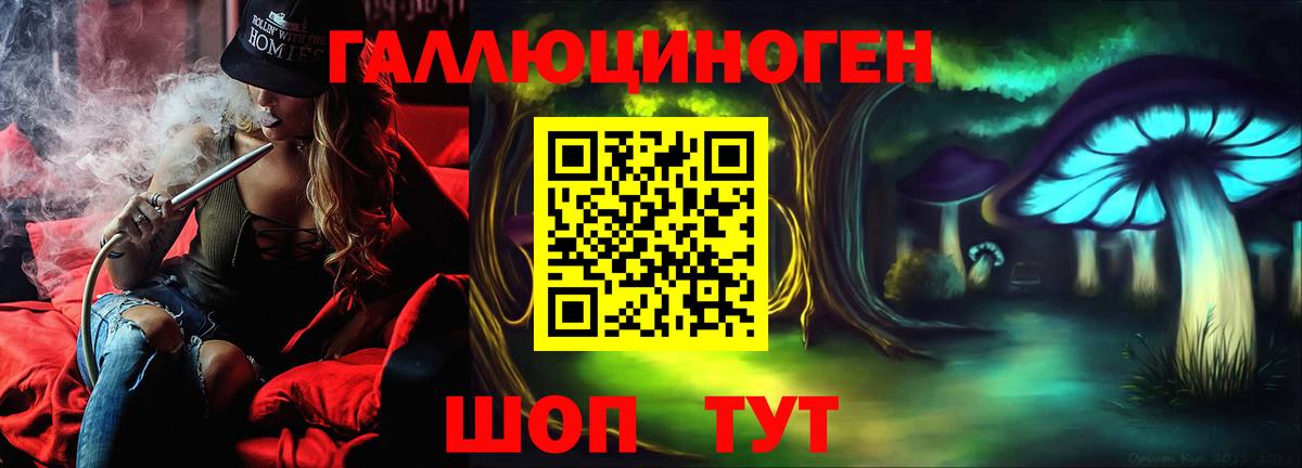 Обь  Галлюциногенные грибы Psilocybe  сколько стоит  Вход с VPN 